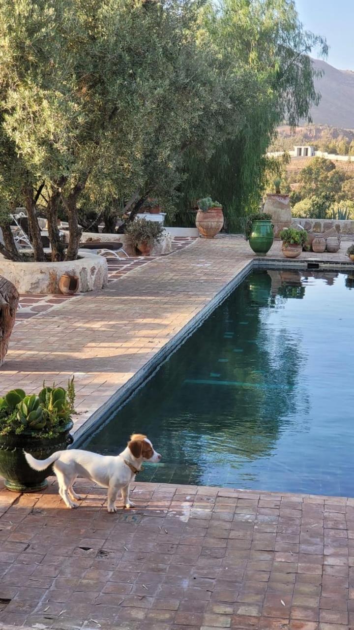 Sel D Ailleurs, Atlas Mountain Retreat - Adults Only Ouirgane Exteriör bild
