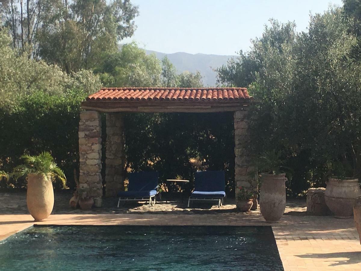 Sel D Ailleurs, Atlas Mountain Retreat - Adults Only Ouirgane Exteriör bild